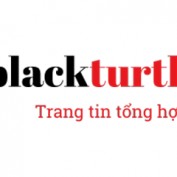 blackturtlegk profile image