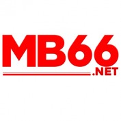 mb66net profile image