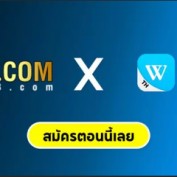 p6onlinethai profile image