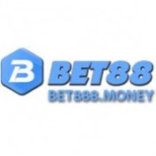 bet888money profile image