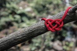 Untangle: A Poem