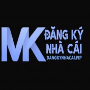 dangkynhacaivip profile image