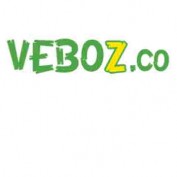 vebotvauto profile image