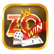 zowincomde1 profile image