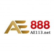 ae113net profile image