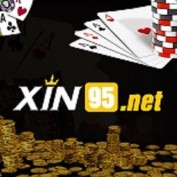 xin95net profile image