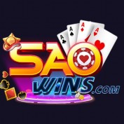 saowinscom profile image