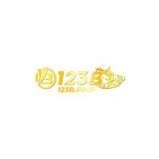 mot23bprof profile image