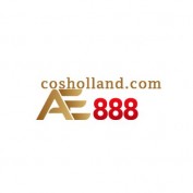 coshollandcom profile image
