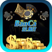 banca22net profile image