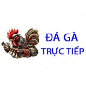 dagatructiepbar profile image
