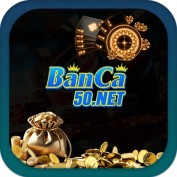 banca50net profile image