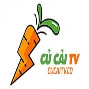cucaitidi profile image