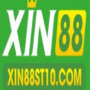 xin88st10com1 profile image