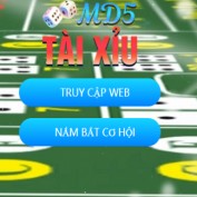 taixiumd5run profile image