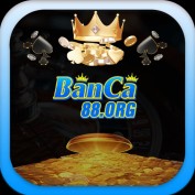 banca88org profile image
