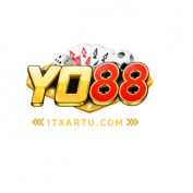 yo882024 profile image
