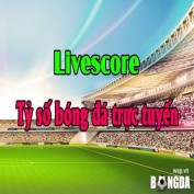 tysotructuyenbd profile image