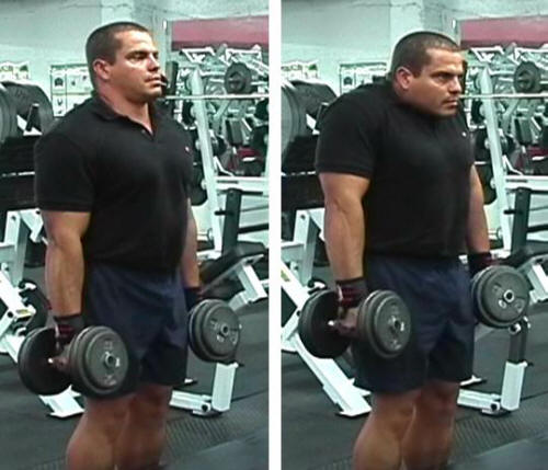 You can also do shrugs with dumbbells. I have done both dumbbell and barbell but I love doing dumbbell, not because it is easy but it provides more strength to my back.
