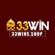 a33winsshop profile image