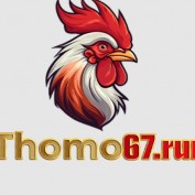 thomo67run profile image
