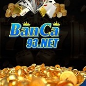 banca93net profile image
