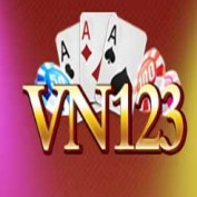 vn123ac profile image