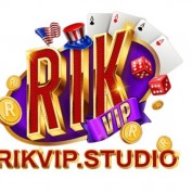 rikvipstudio profile image