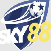 sky88art profile image