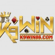 k9win86com profile image