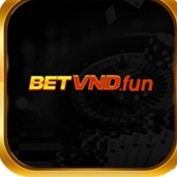 betvndim profile image