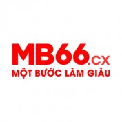 mb66cx profile image
