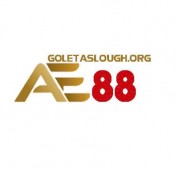goletasloughorg profile image