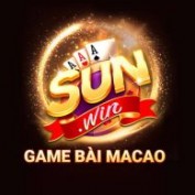 nhacaisunwinws profile image