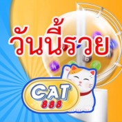 CAT888 profile image