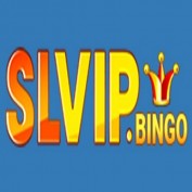slvipbingo profile image