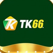 TK66 profile image