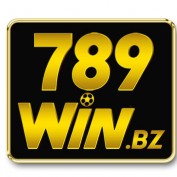 winbbz789 profile image