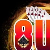 uscodes8 profile image