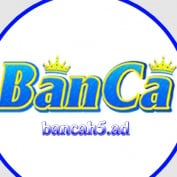 bancah5ad profile image