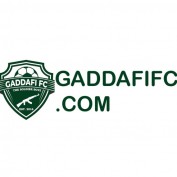 gaddafifccom profile image