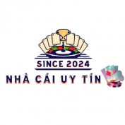 nhacaiuytinlu profile image