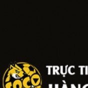 socolivemist profile image