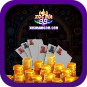 xocdia88comcom profile image