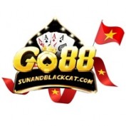 sunandblackcat profile image