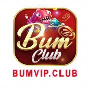 bumvipnet profile image