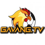 gavangtvinfodr profile image