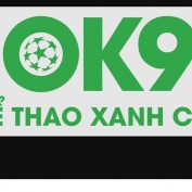 ok9lv profile image