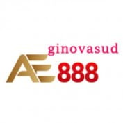 ae888ginovasud1 profile image