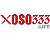 xoso333life profile image